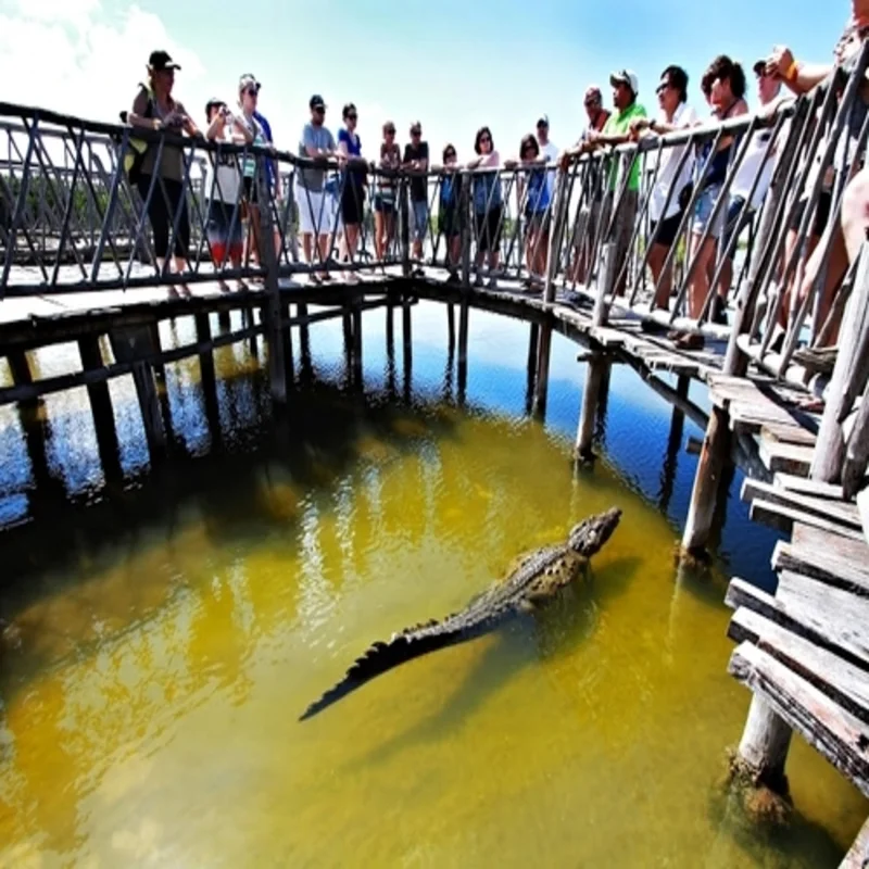 Colombia Lagoon Wildlife at Punta Sur Eco Park